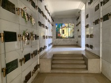 Enlarge photo 203