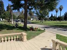 Enlarge photo 215
