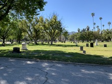 Enlarge photo 244
