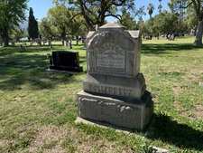 Enlarge photo 249