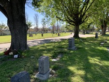 Enlarge photo 254