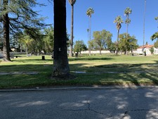 Enlarge photo 278