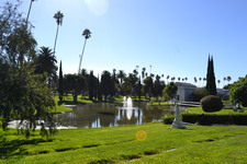 Enlarge photo 7