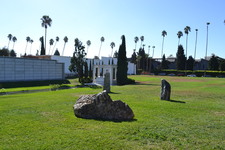 Enlarge photo 20