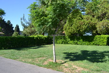 Enlarge photo 23
