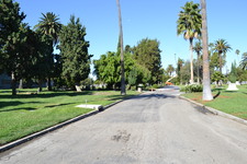 Enlarge photo 25