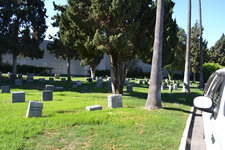 Enlarge photo 26
