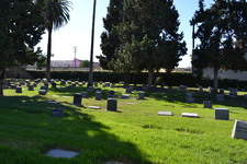 Enlarge photo 27