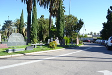 Enlarge photo 29