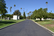 Enlarge photo 34