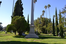 Enlarge photo 37