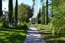 Enlarge photo 38