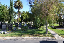 Enlarge photo 39