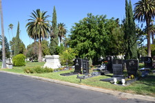 Enlarge photo 40