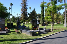 Enlarge photo 42