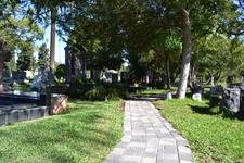 Enlarge photo 43