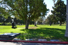 Enlarge photo 46