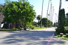 Enlarge photo 48