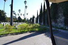 Enlarge photo 51