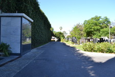 Enlarge photo 52