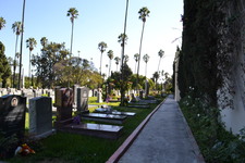 Enlarge photo 53