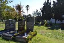 Enlarge photo 54