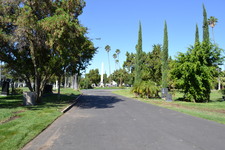 Enlarge photo 56