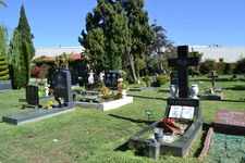 Enlarge photo 57