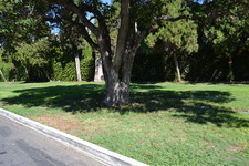 Enlarge photo 58