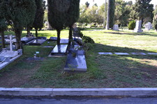 Enlarge photo 59