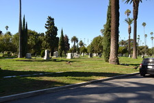 Enlarge photo 61