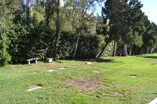 Enlarge photo 62