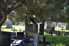 Enlarge photo 63