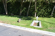 Enlarge photo 64
