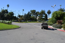 Enlarge photo 70