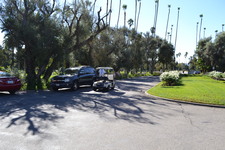 Enlarge photo 71