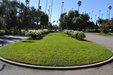 Enlarge photo 72