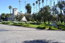 Enlarge photo 77