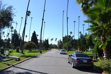 Enlarge photo 78