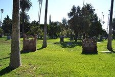 Enlarge photo 80