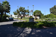 Enlarge photo 81