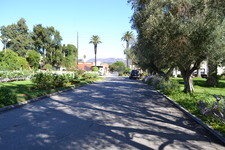 Enlarge photo 82