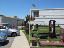 Enlarge photo 98