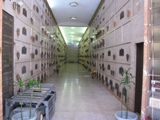 Enlarge photo 115