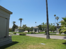 Enlarge photo 126