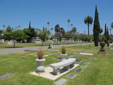Enlarge photo 127