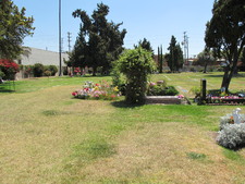 Enlarge photo 131