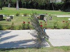 Enlarge photo 132