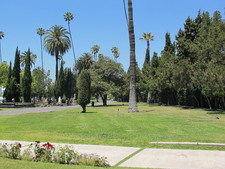 Enlarge photo 134