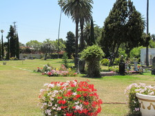 Enlarge photo 135